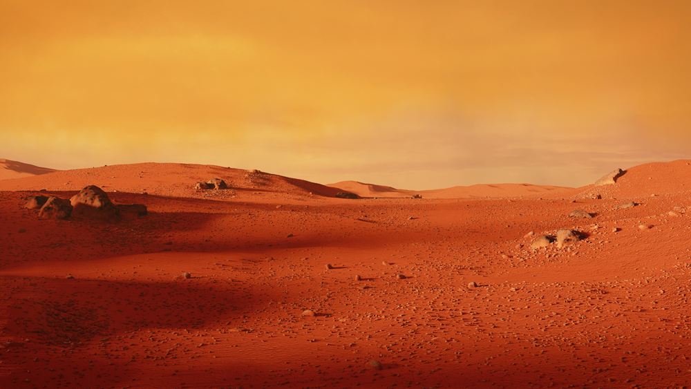
		MARS on the Field		